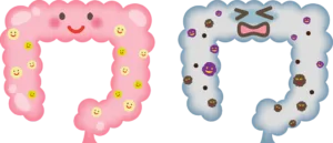 Constipated Bowels , Gut Health and constipation