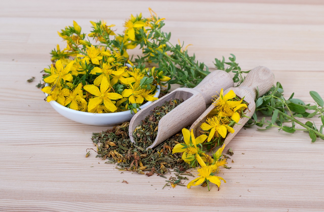 saint john's wort, flowers, tea